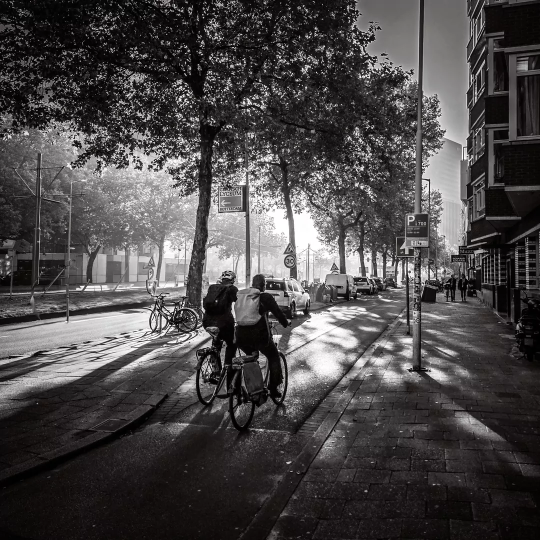 Herfstochtend in Rotterdam