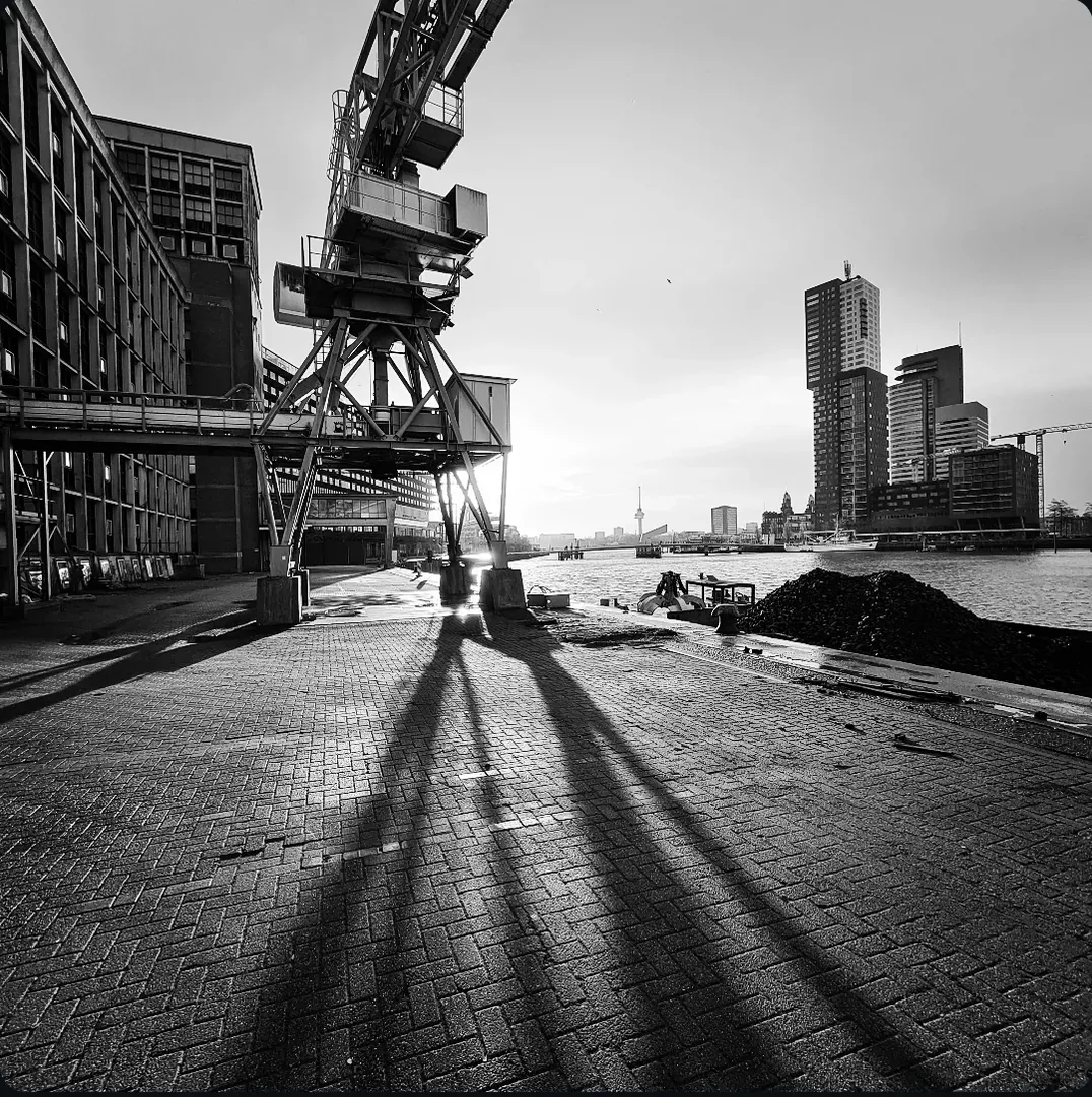 Rijnhaven Rotterdam