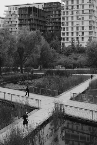 Park met gekruisde paden, voetgangers op de paden