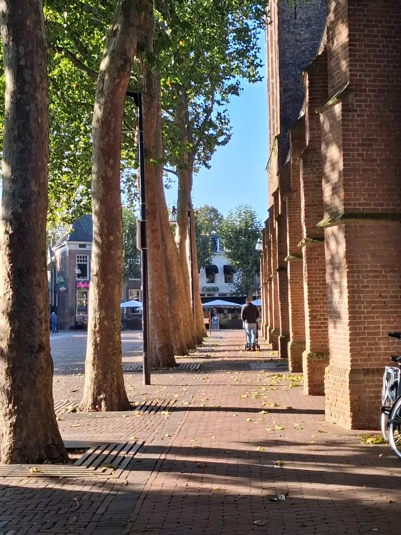 Herfst in Meppel