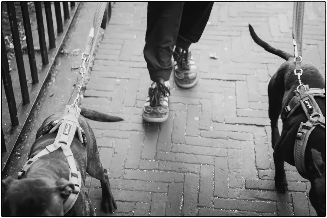 Straatfoto van Paula van den Akker